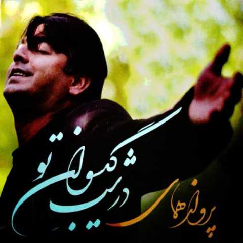 آهنگ پرواز همای درشب کیسوان تو