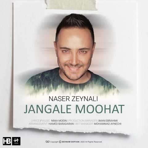 آهنگ ناصر زینعلی جنگل موهات