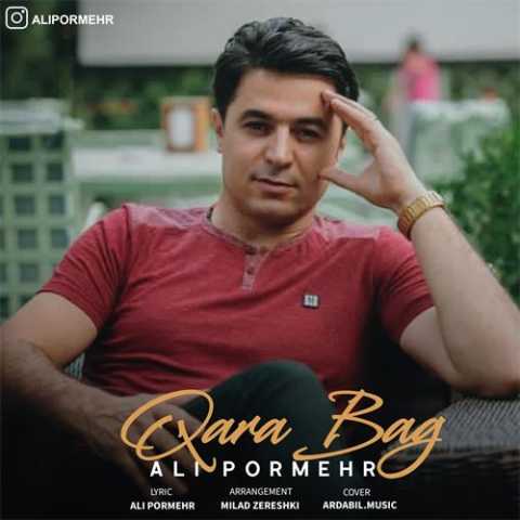 آهنگ علی پرمهر قره باغ 