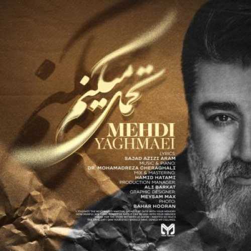 آهنگ مهدی یغمایی تحمل میکنم
