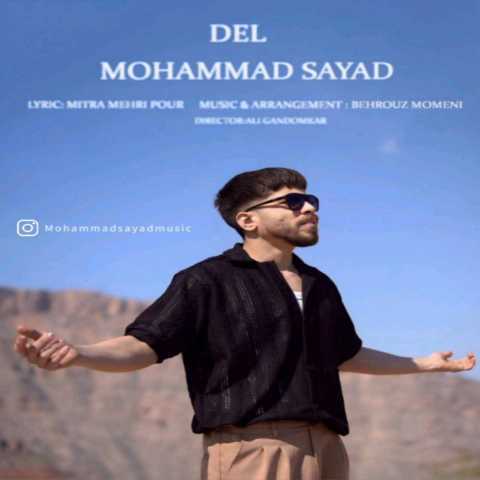 آهنگ محمد صیاد دل