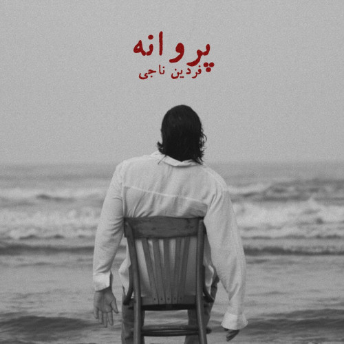آهنگ فردین ناجی پروانه